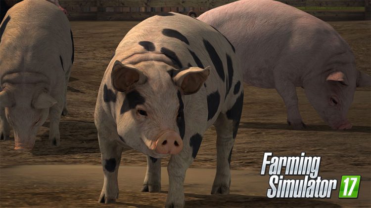 farming-simulator-17-pig