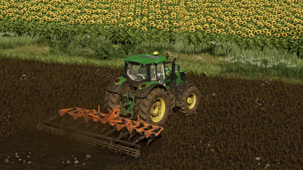 Noli P15 P19 P23 v 1.0