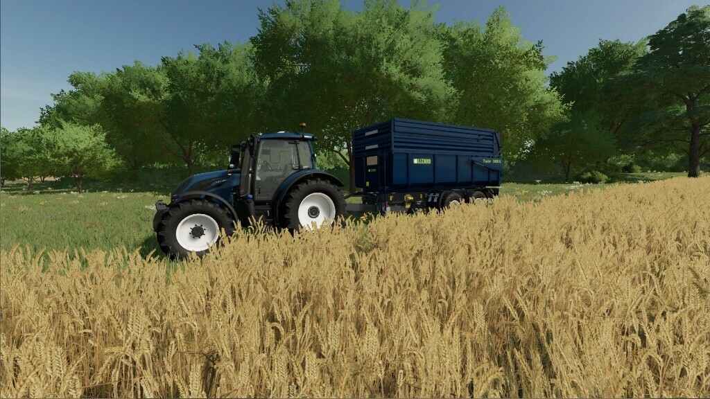 Lizard Tardis XL v 1.1