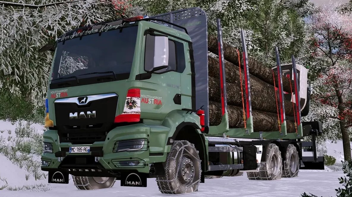 MAN TGS/TG3 Wood Truck v 1.0