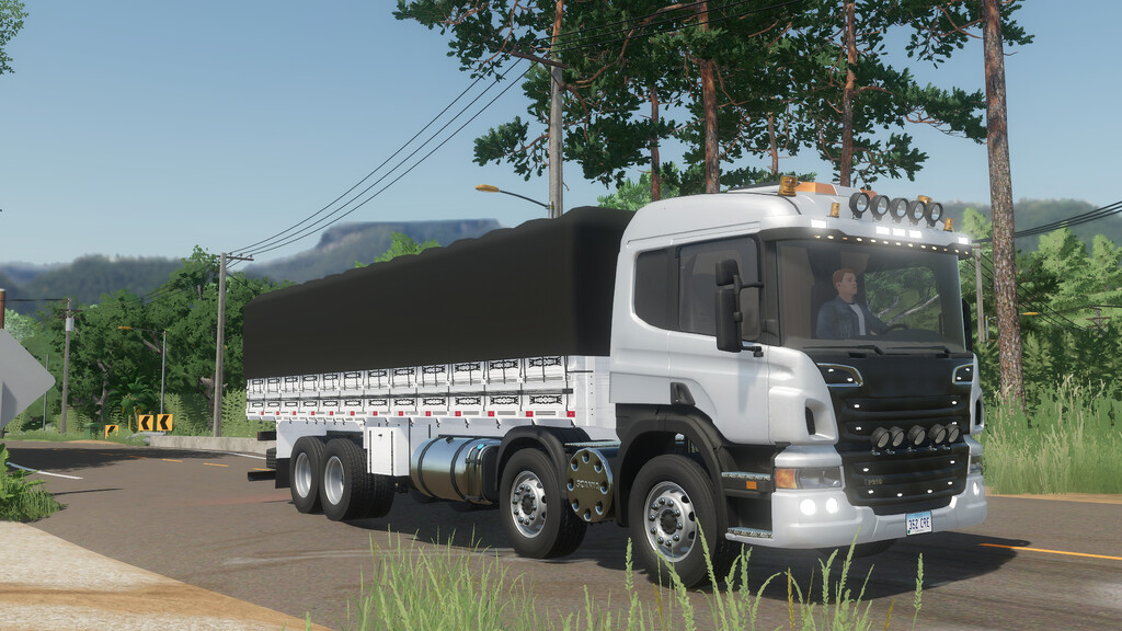 Lizard P310 v 1.2