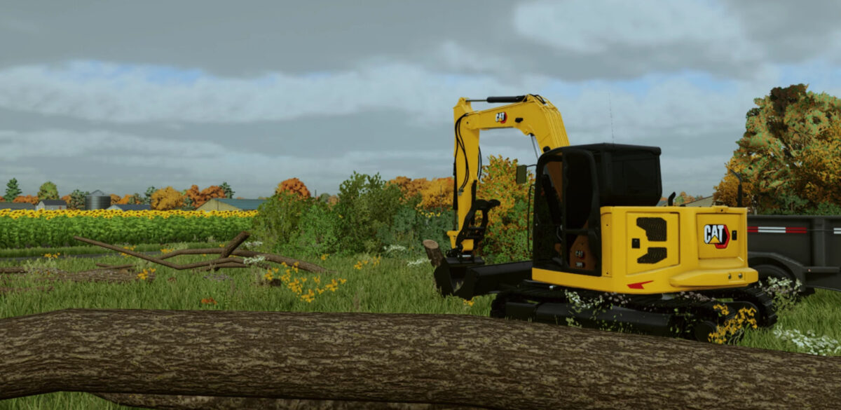 CAT 309 CR v 1.0