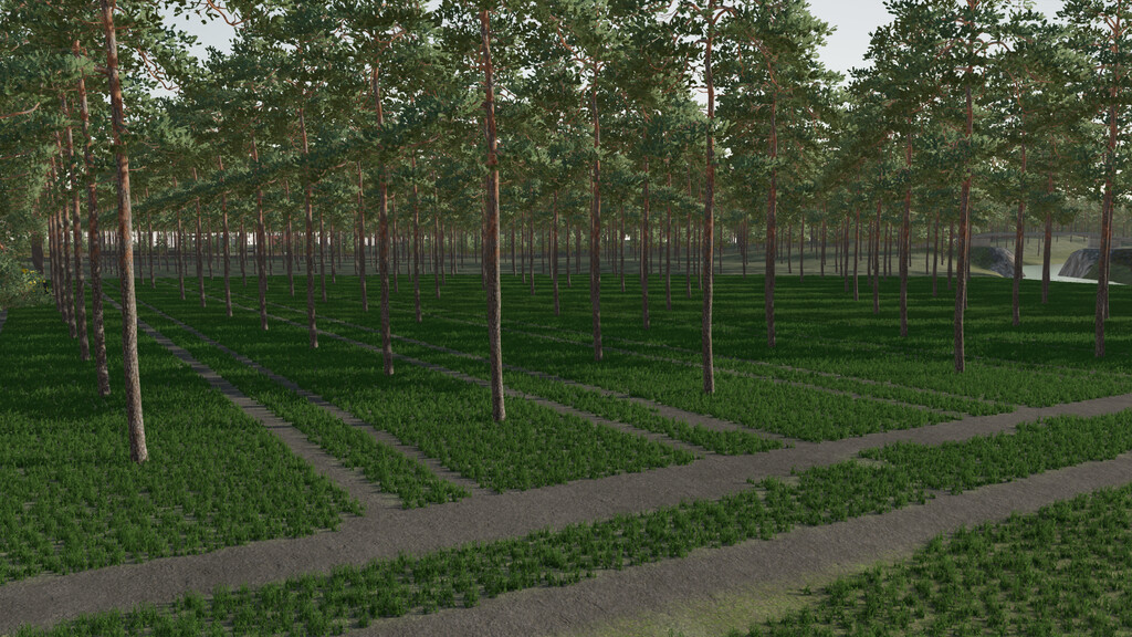 The Plantation Map v 1.0.0.1