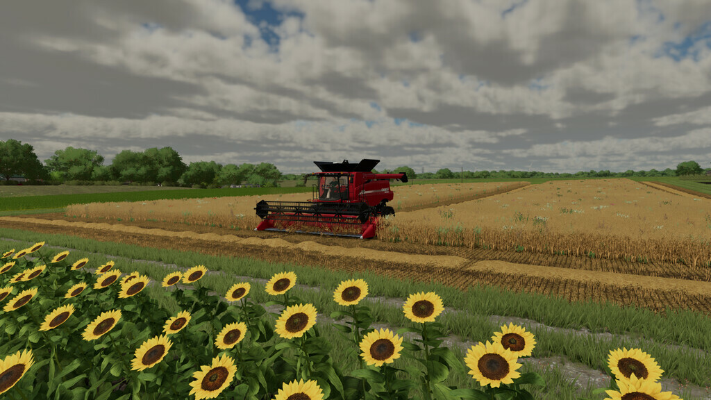 Beware of Straw v 1.0.1.1