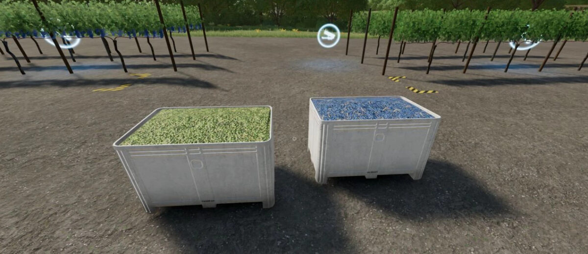 Red and White Grapes Orchards v 1.0