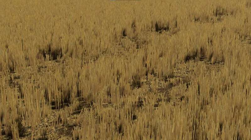 High Wheat Stubble with Compaction v 1.0
