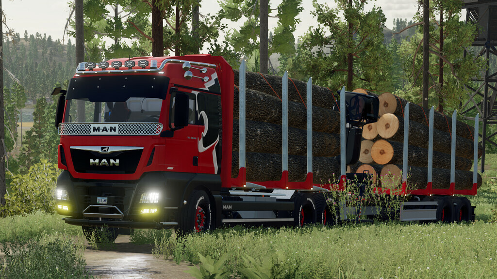 MAN TGX Forest Special v 2.0.1.0