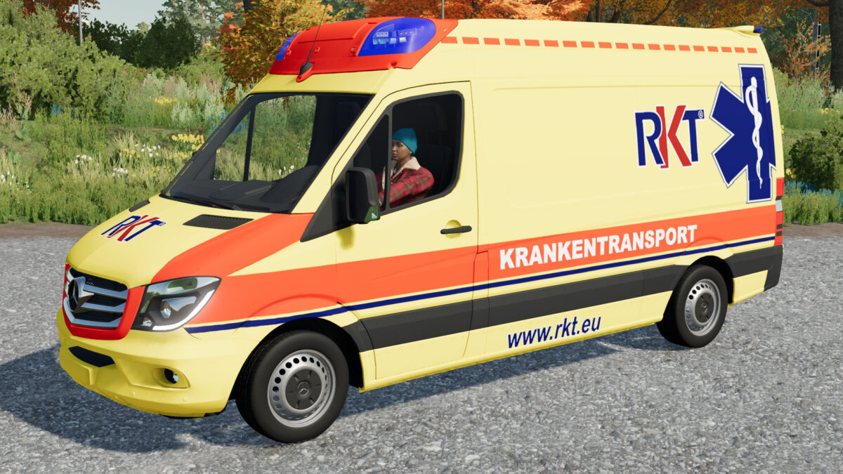 2014 Mercedes Benz Sprinter 313 CDI v 1.1