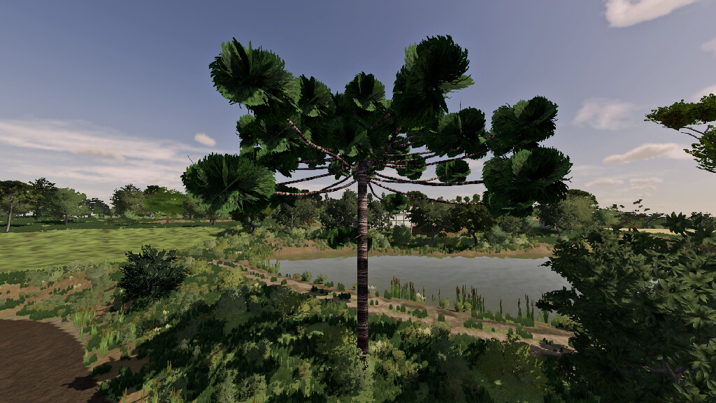 Araucarias v 1.0