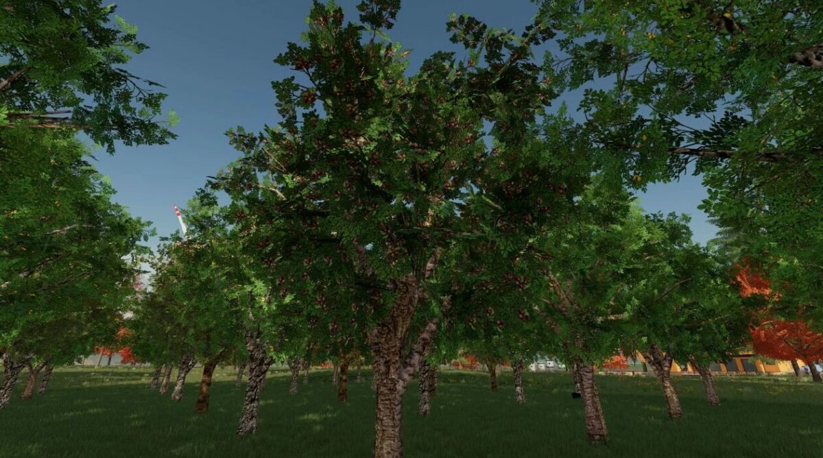 Orchards Fruits v 1.0.0.1