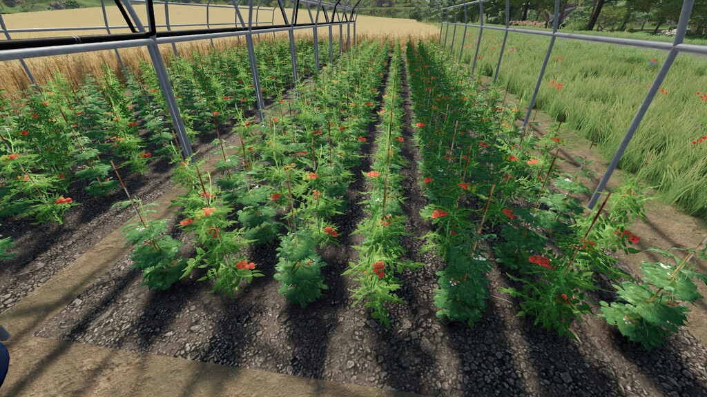 Bio Greenhouses v 1.0