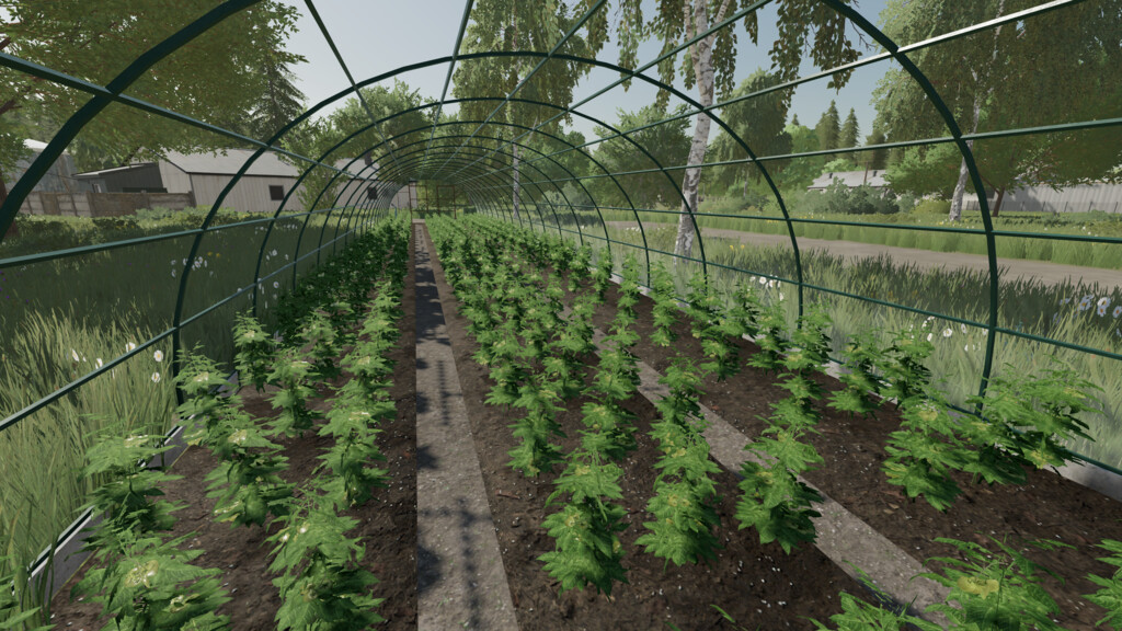 Greenhouse v 1.0