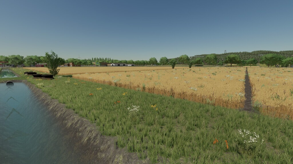 The Elm Rochester Map v 1.1.5.0