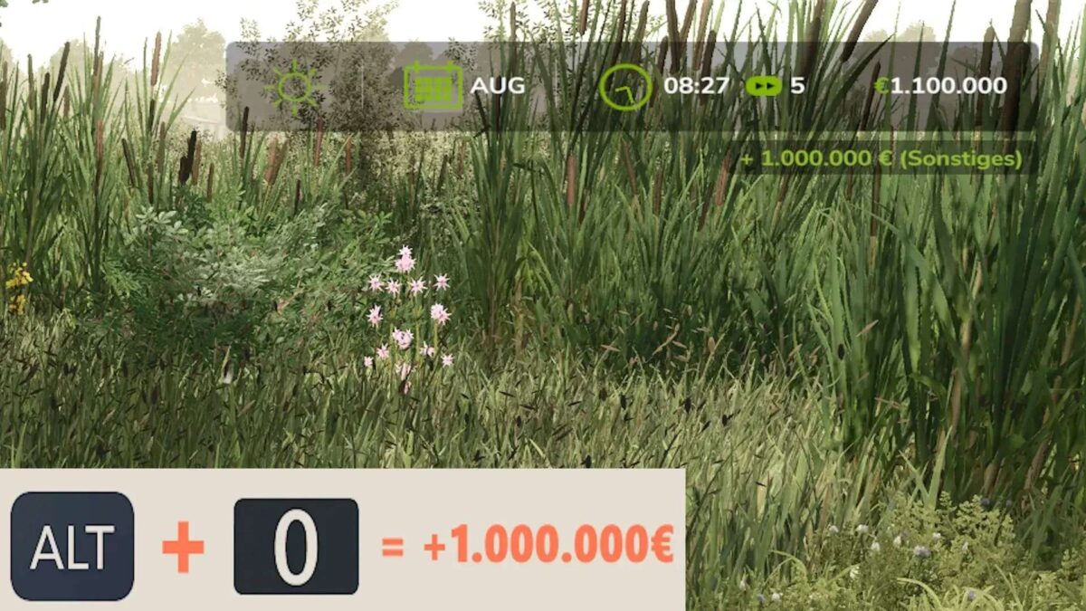 Add Money Script v 1.0