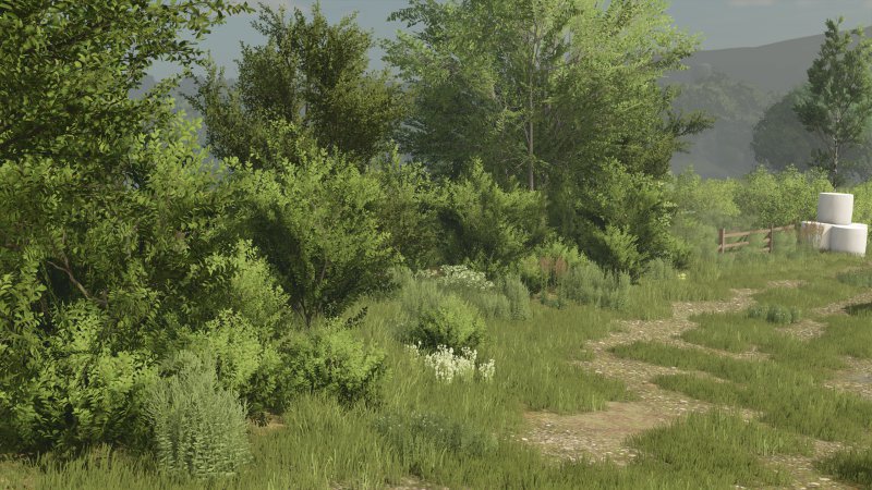 Bush Texture (Deco Bush) v 1.0