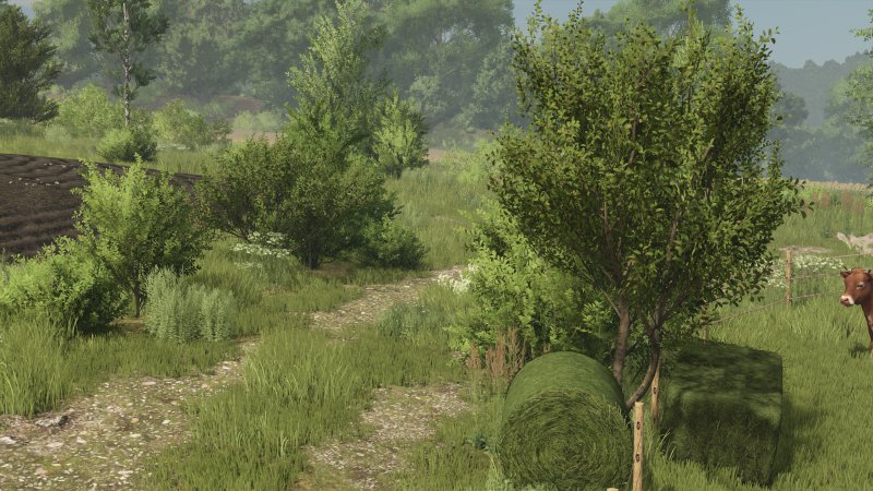 Bush Texture (Deco Bush) v 1.0