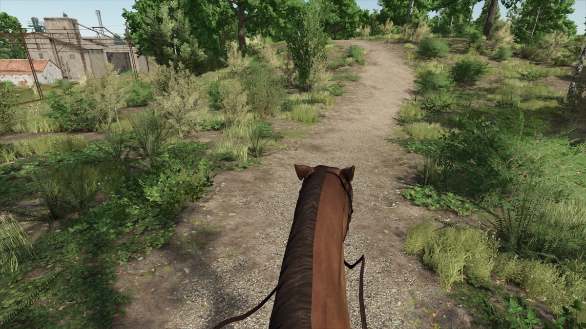 First Person Horse Riding Camera v 1.0