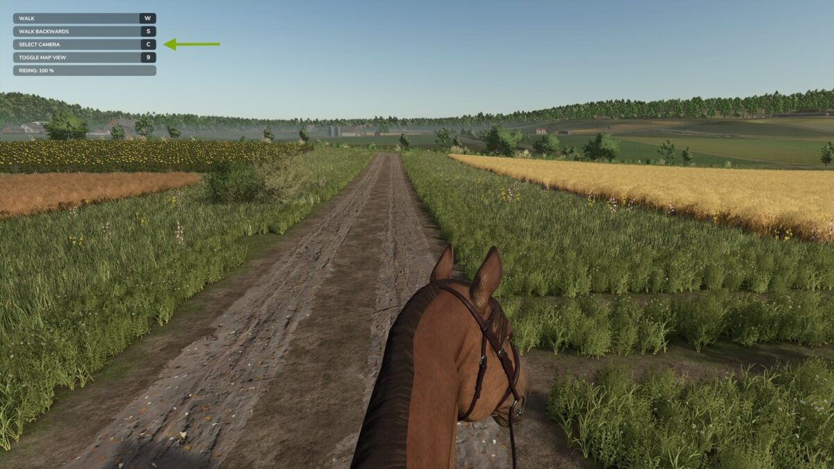 First Person Horse Riding Camera v 1.0