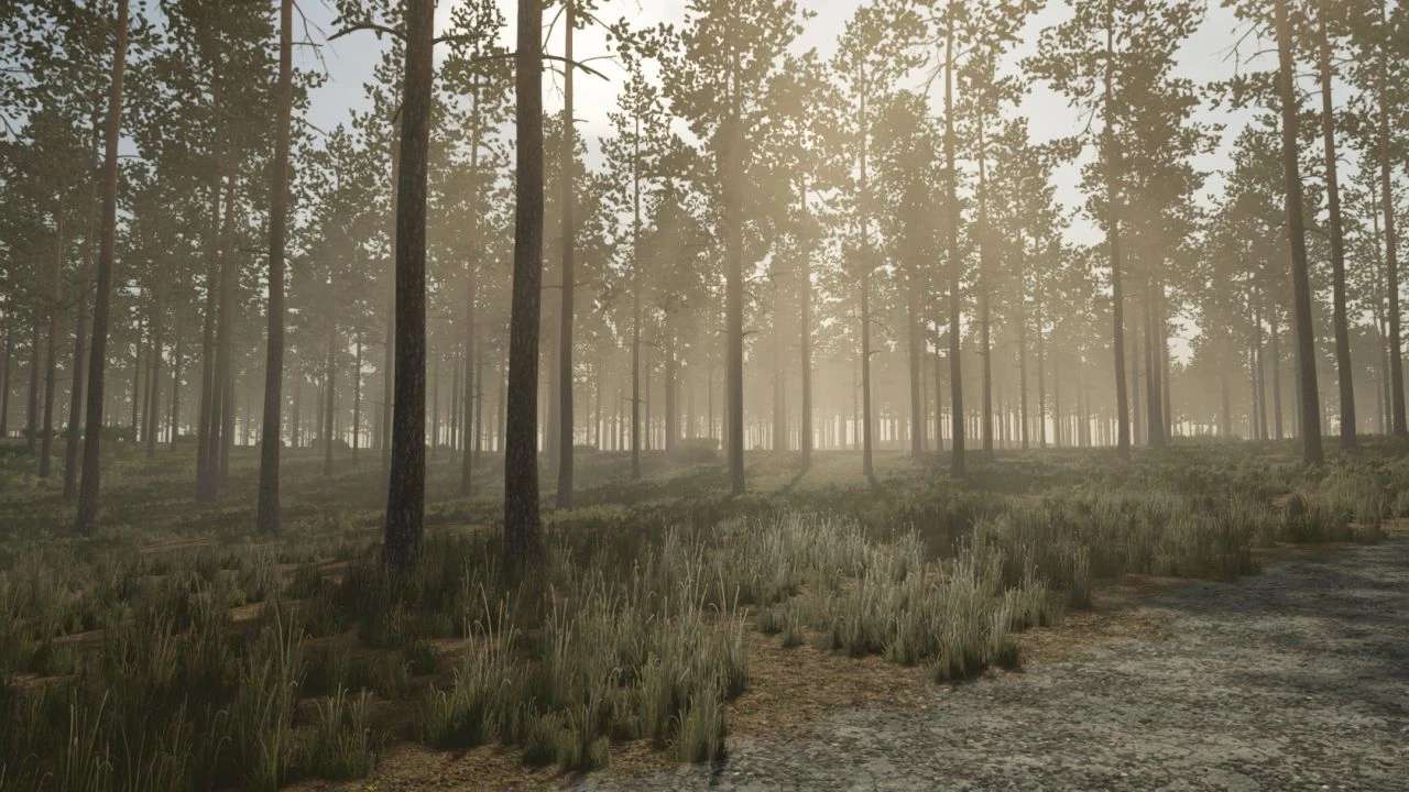 Pinewood Forest Map v 1.4