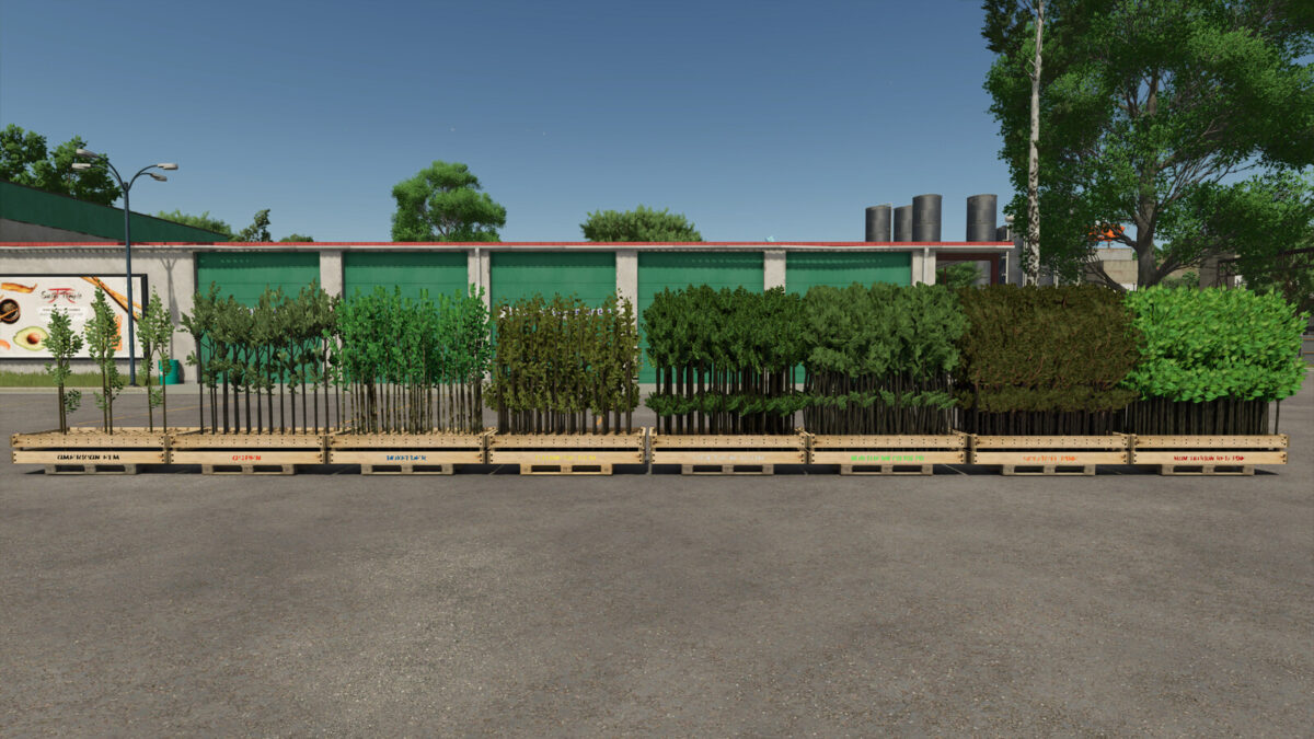 Tree Sapling Pack v 1.0