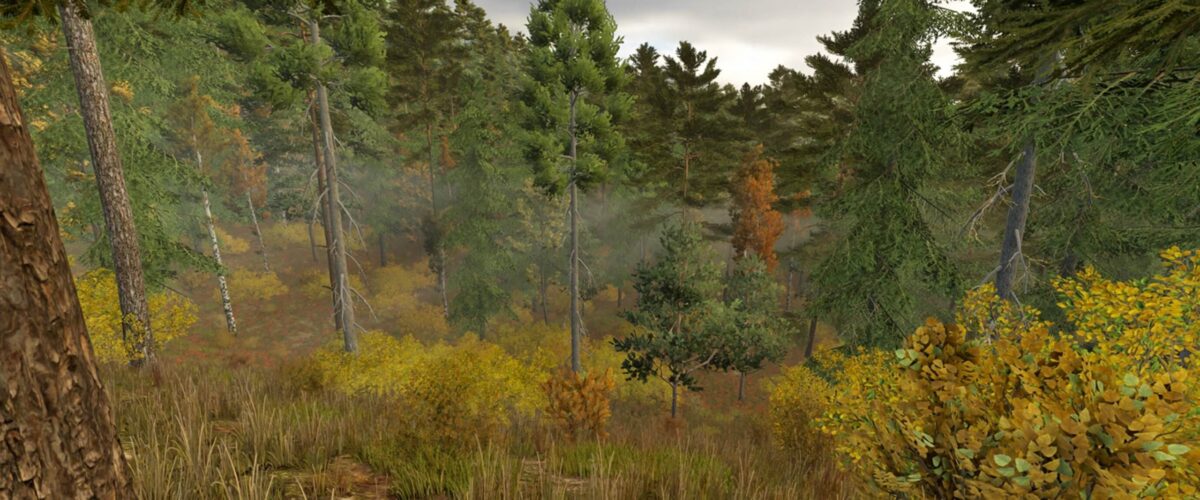 Ever Green Coast Map v 1.0