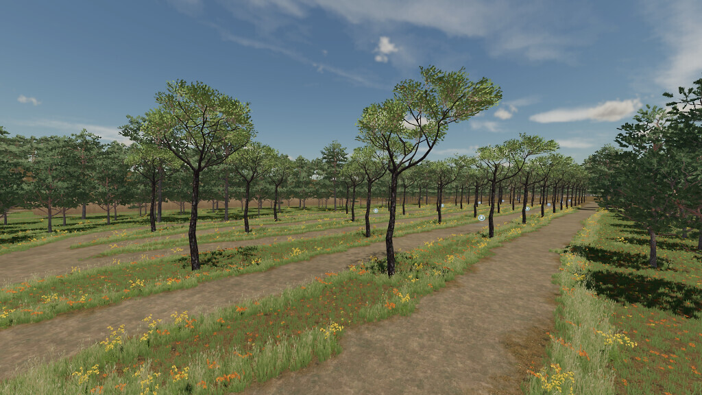 Castile and Leon New Horizon Map v 1.0.0.6