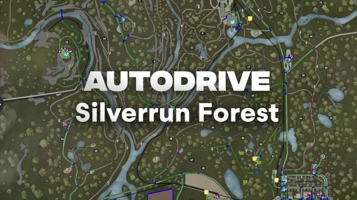 Autodrive Silverrun Forest v 1.0