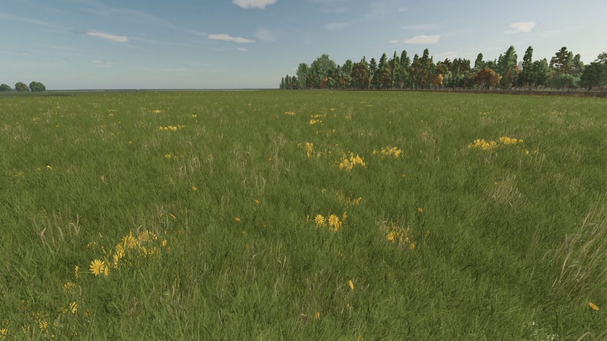 Grass with Dandelions and Daisies v 1.0
