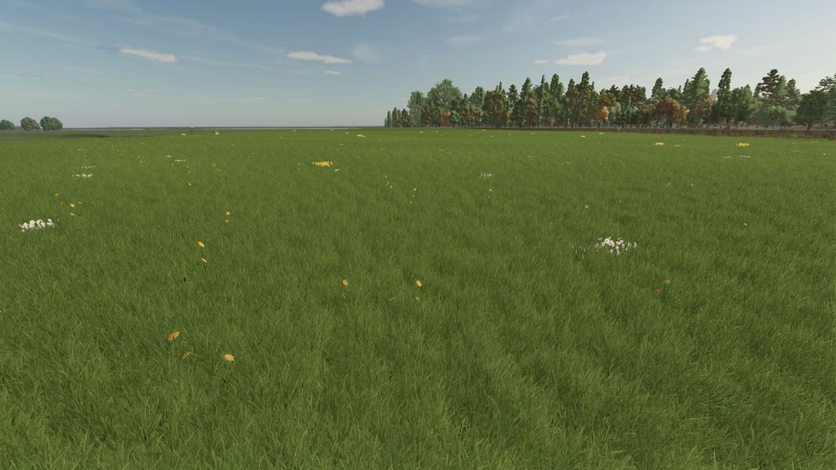 Grass with Dandelions and Daisies v 1.0