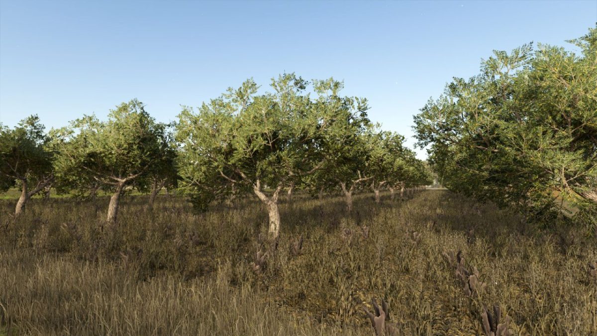 Olives + Olive Picker v 1.0