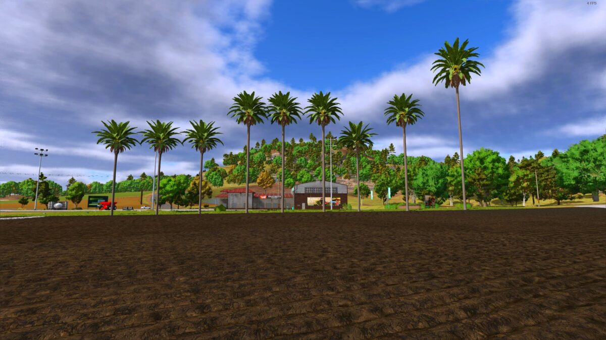 Palm Tree Pack v 1.1