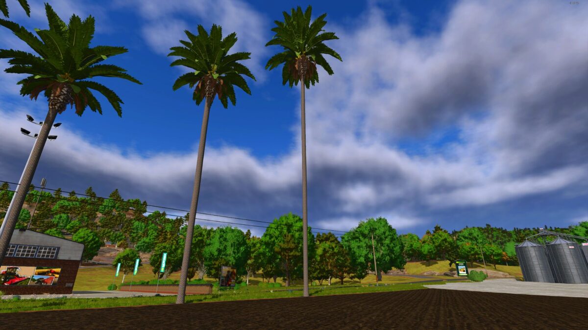 Palm Tree Pack v 1.1