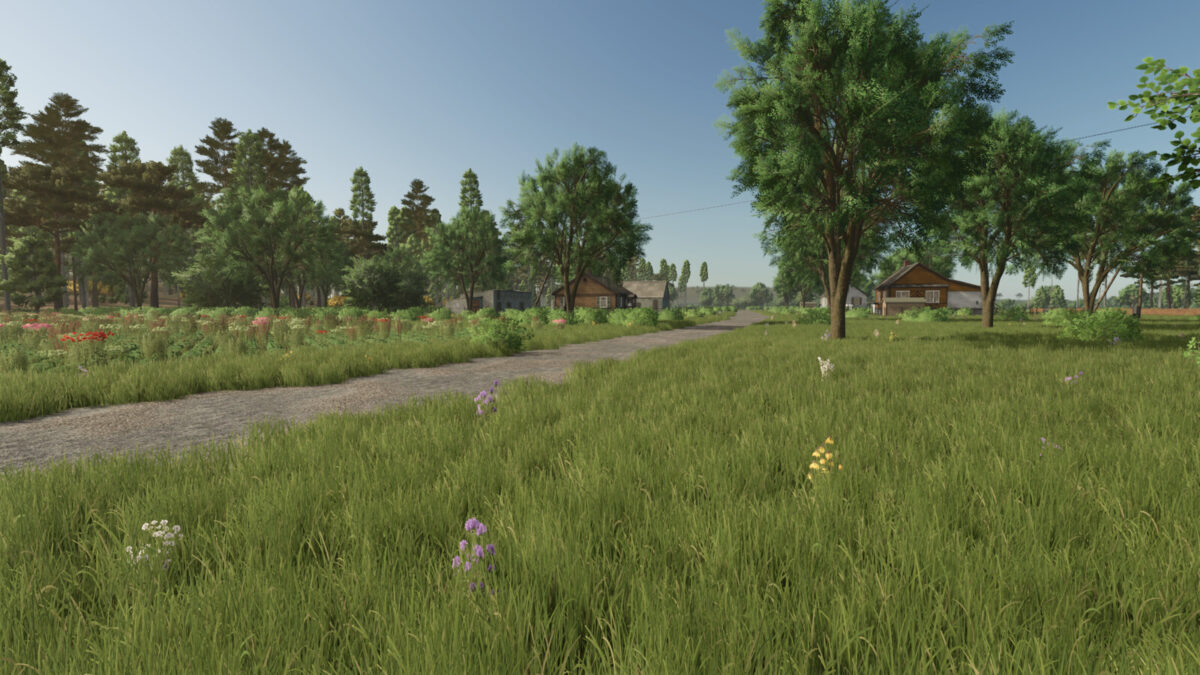 Silver Lake Forest Map v 1.0