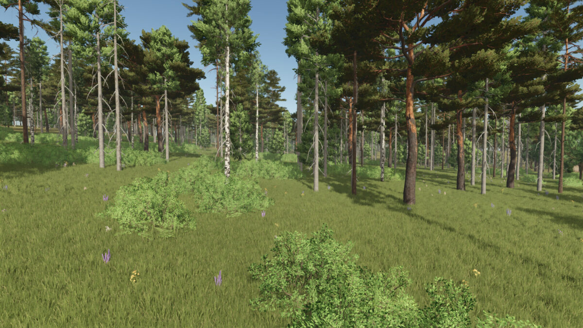 Silver Lake Forest Map v 1.0