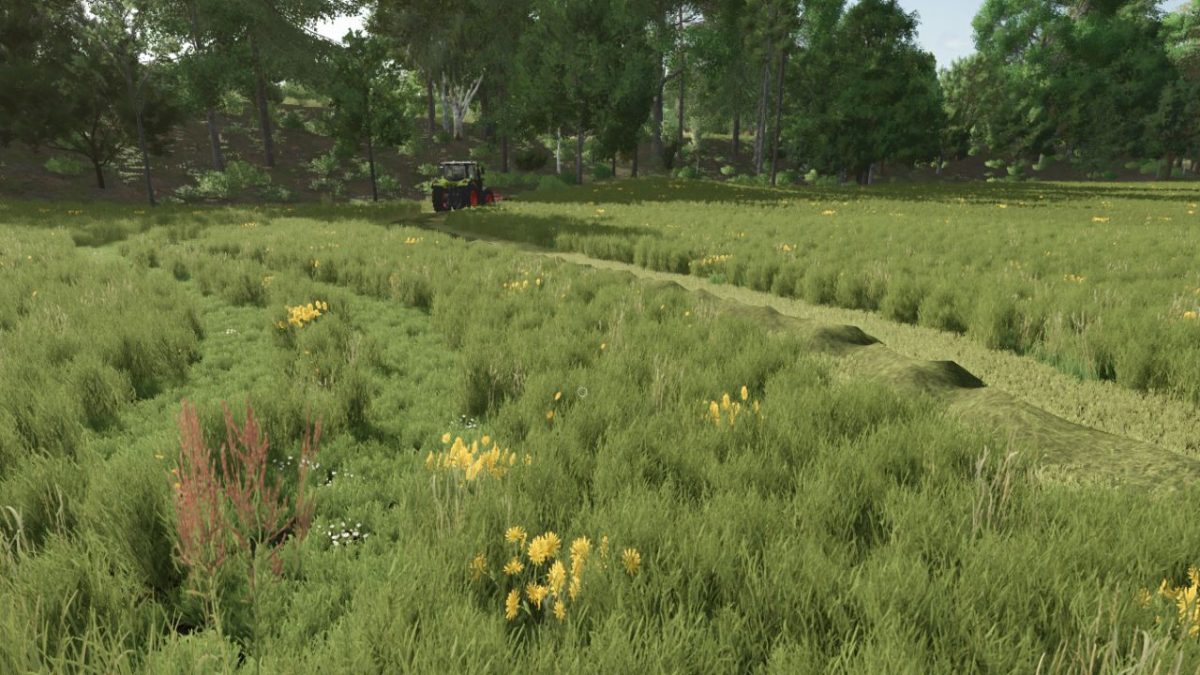 Grass with Dandelions and Daisies v 1.0.0.2