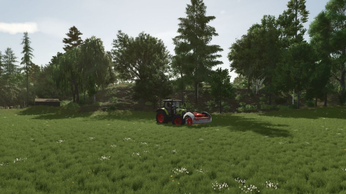 Grass with Dandelions and Daisies v 1.0.0.2