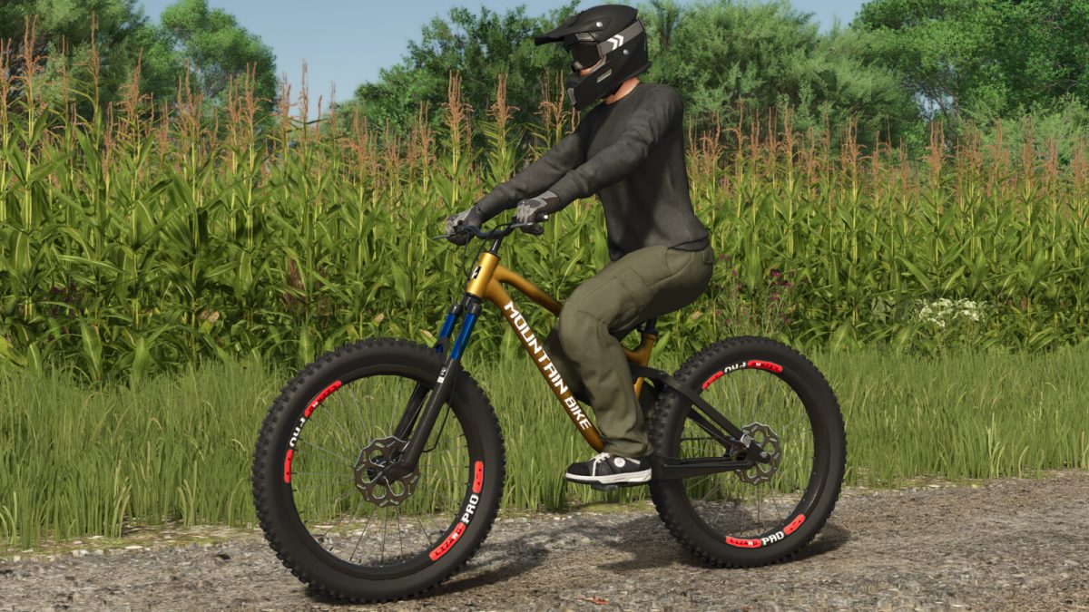 Lizard Mountain Bike v 1.0
