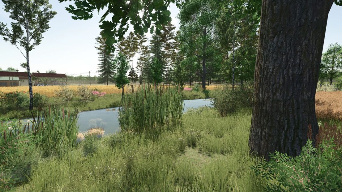 Starowies Map 1.2.0.1