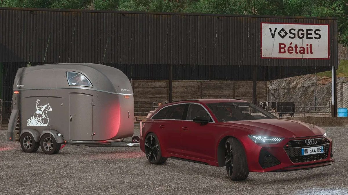 Audi RS6 Avant C8 v 1.1