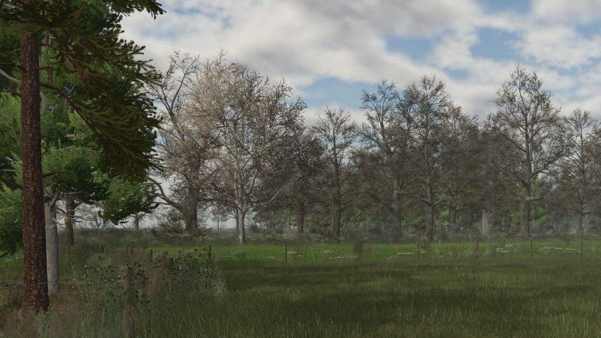 Deco Foliage Pack (Prefab) v 1.0