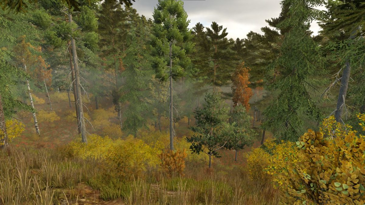 Ever Green Coast Map v 1.0.0.3