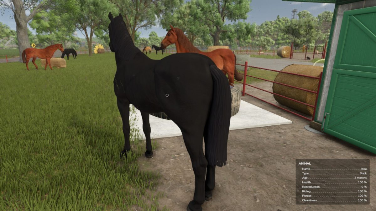 Auto Horse Care v 1.0