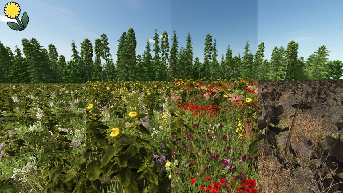 Flowering Catch Crop (Prefab) v 1.0