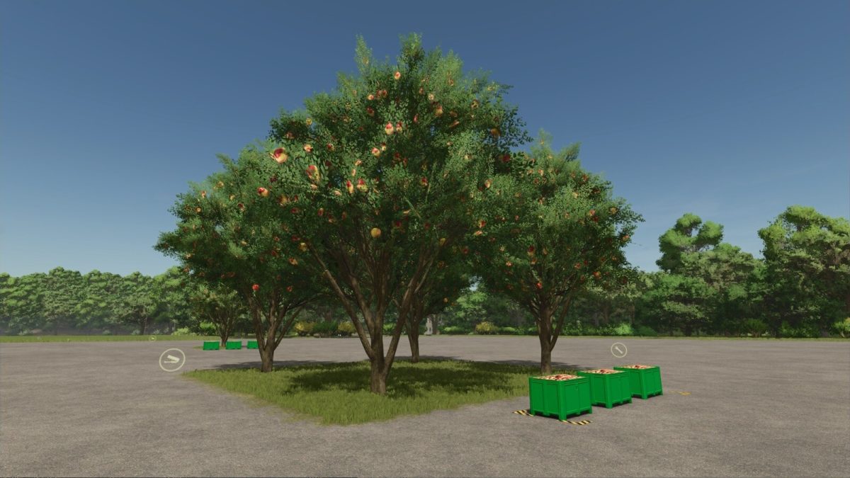 Apple Tree v 1.1