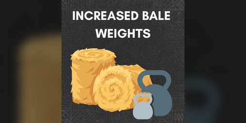 Realistic Bale Physics v 1.0