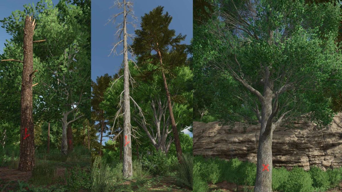 Advanced Deadwood Missions v 1.0