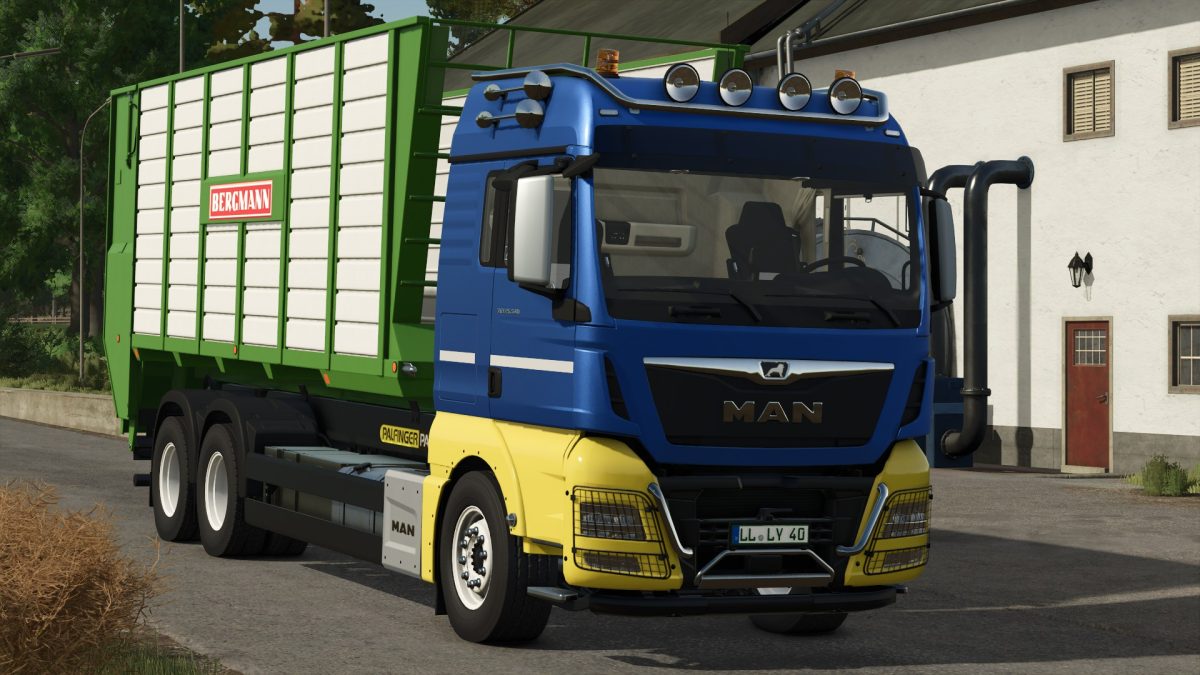 MAN TGX 26.500 IT Runner v 1.0