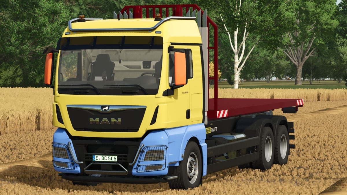 MAN TGX 26.500 IT Runner v 1.0