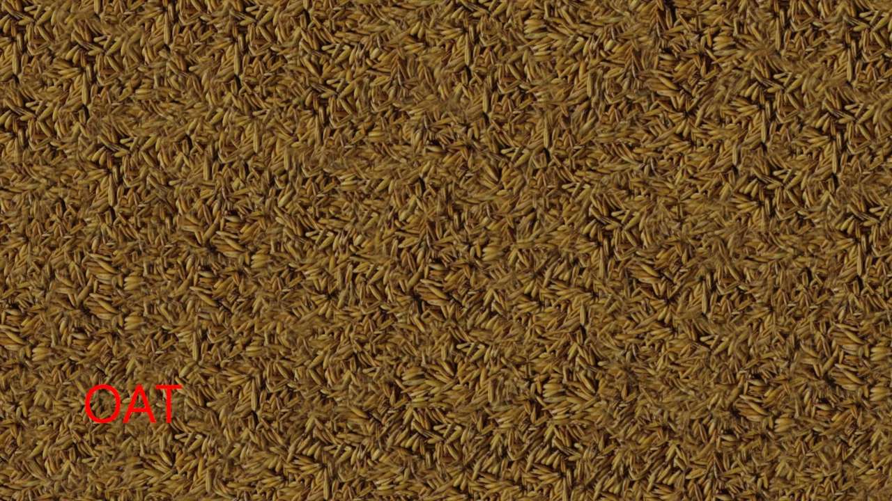 Fill Plane Textures Pack v 1.0