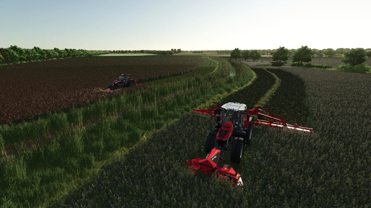 Gnadenthal Map v 1.3